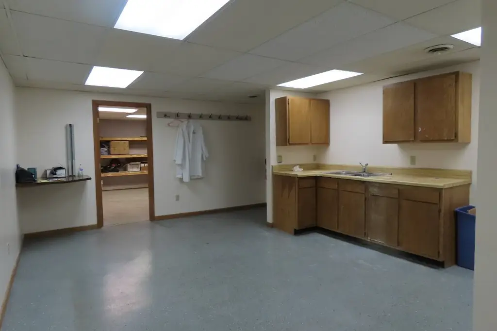 Picture 19