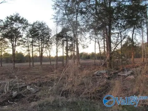 Land Available in Albertville, AL