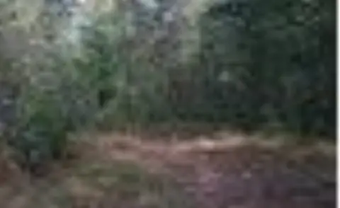 Talking Rock Acreage For Sale