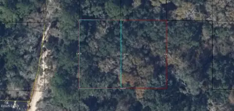 Land Near Choctawhatchee River