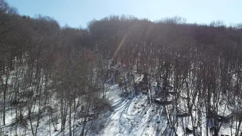 Residential Land in Princeton, WV