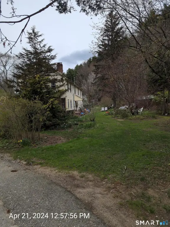 Picture 5