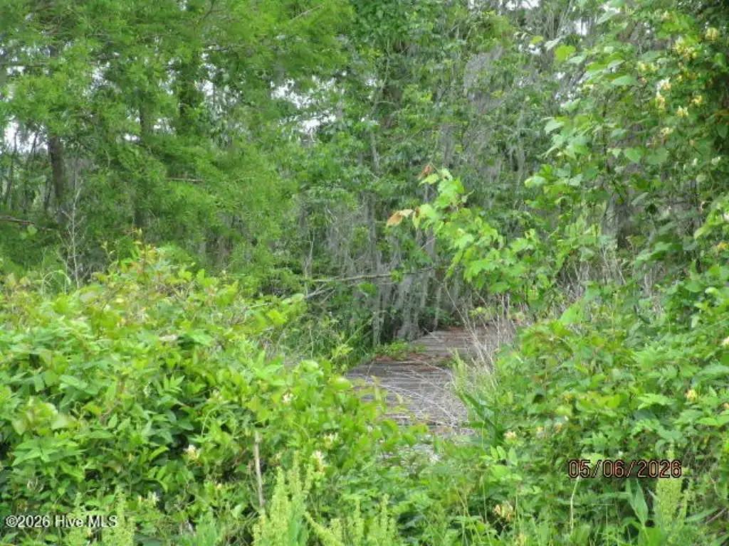 Picture 2