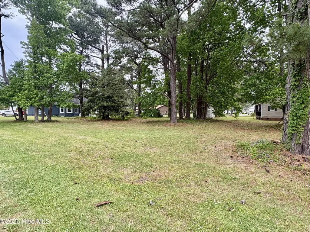 Picture 2