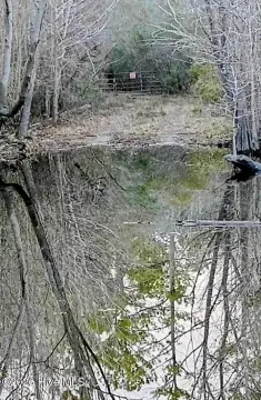 290 AC Hunting/Recreation Land