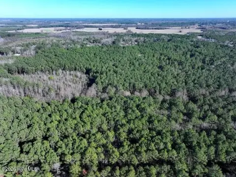 Fairmont, NC Land Opportunity