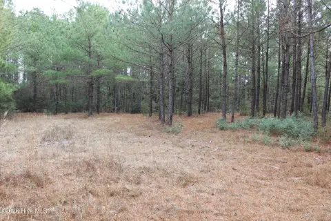 Land in Hampstead, North Carolina