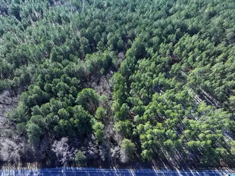 Heavily Wooded Lot in Fairmont