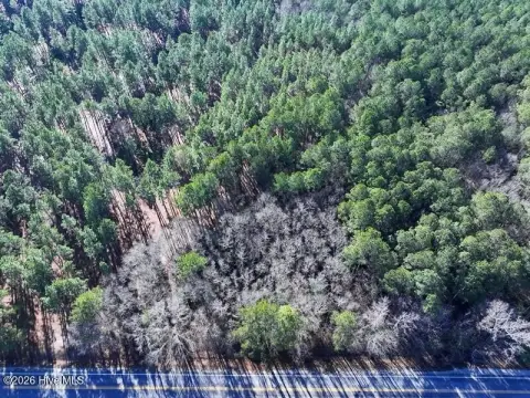 Heavily Wooded Residential Lot