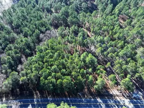 Heavily Wooded Residential Lot