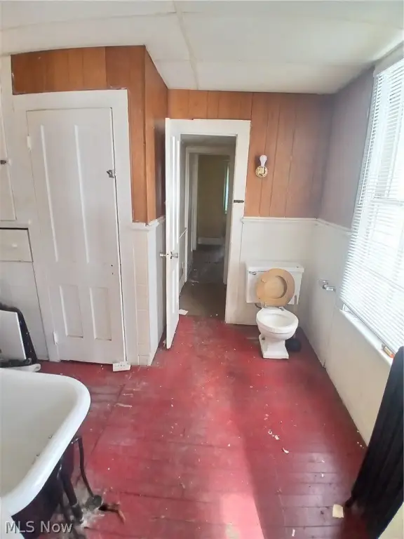 Picture 31