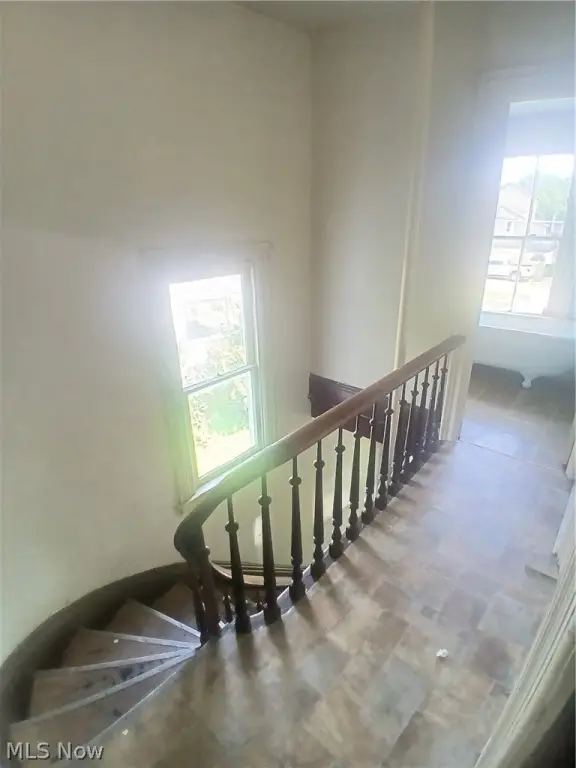Picture 15