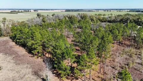 Residential Lots in Miller County