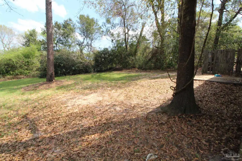 Picture 15