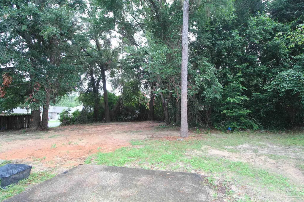 Picture 23