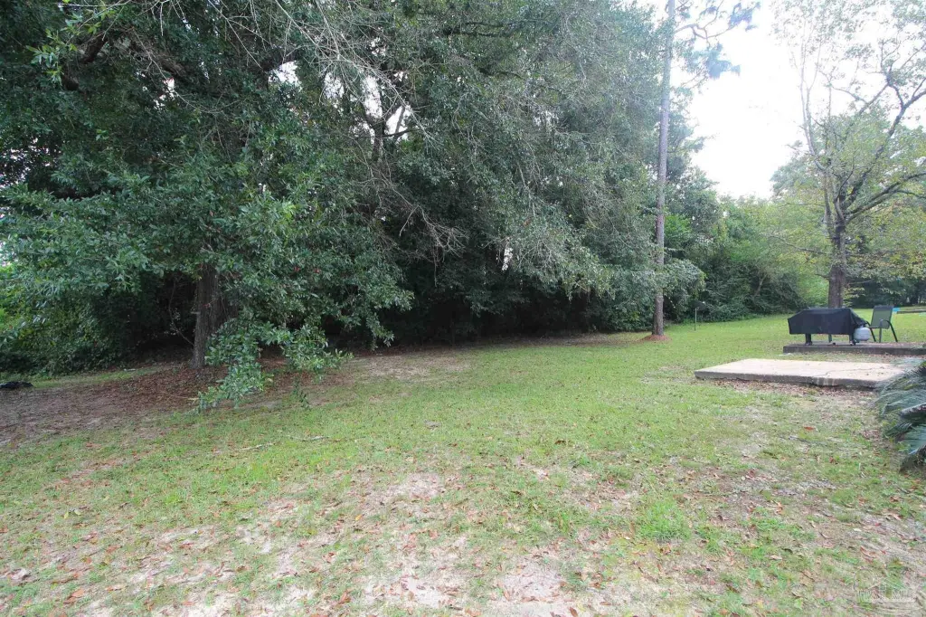 Picture 24