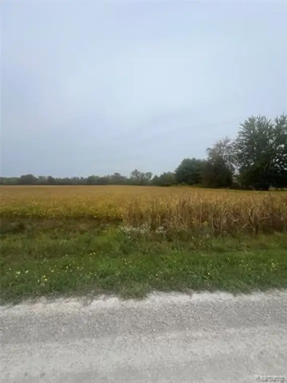 Picture 5