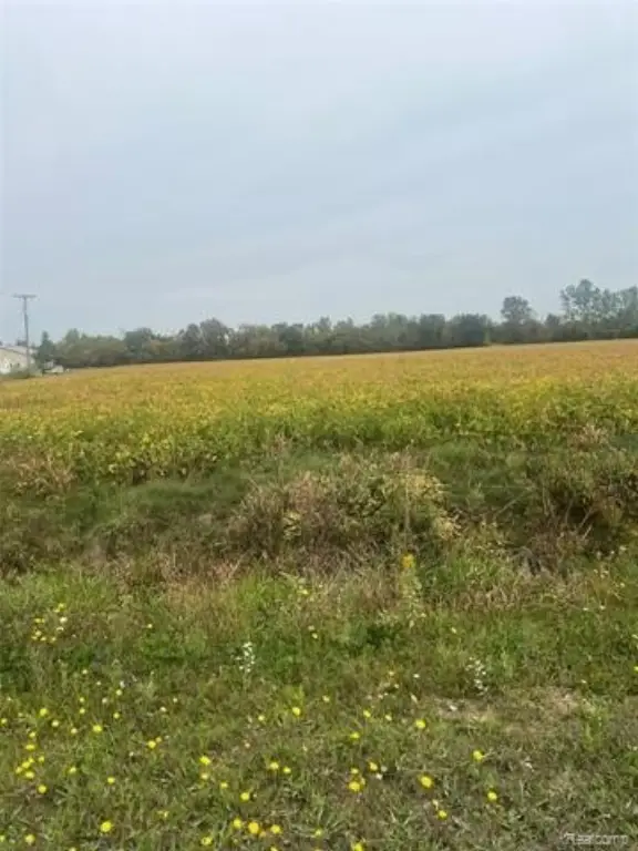 Picture 15