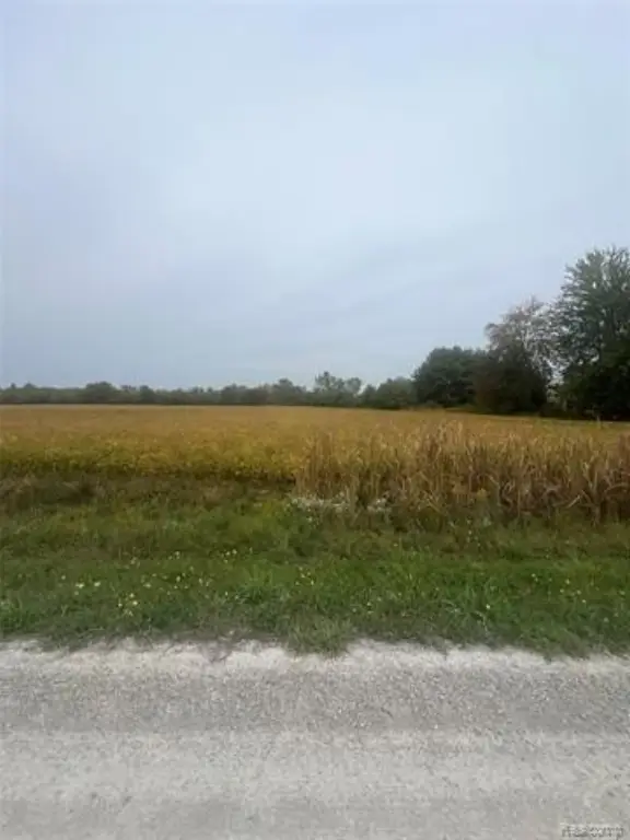 Picture 4