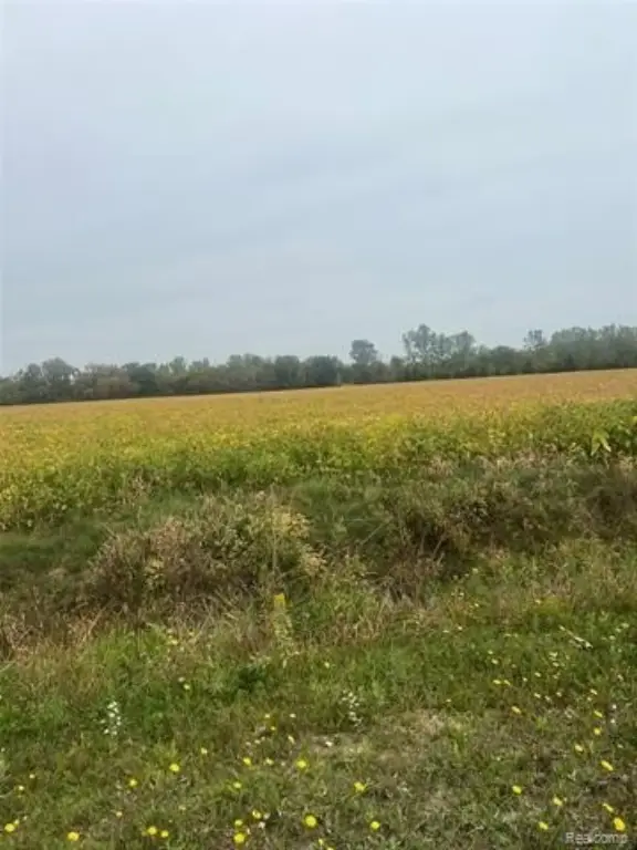 Picture 16
