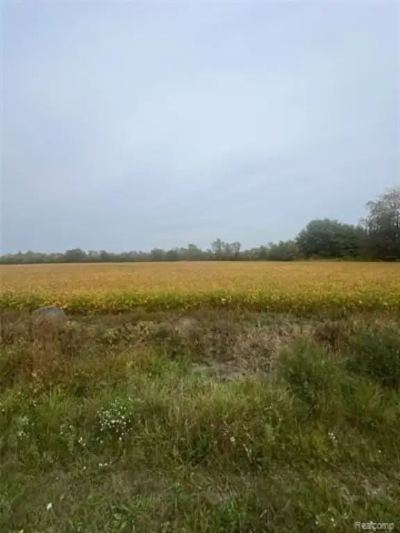Picture 13