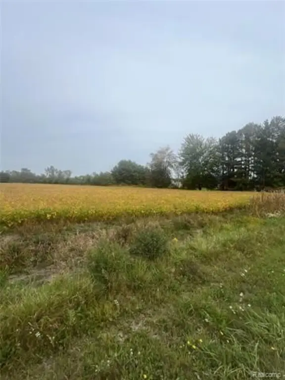 Picture 14