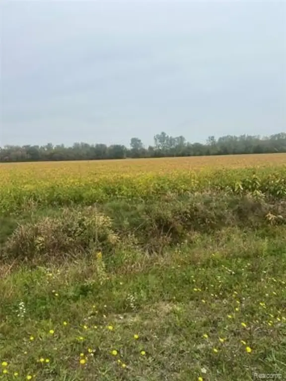 Picture 17