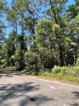 Undeveloped Land in Mobile, Alabama