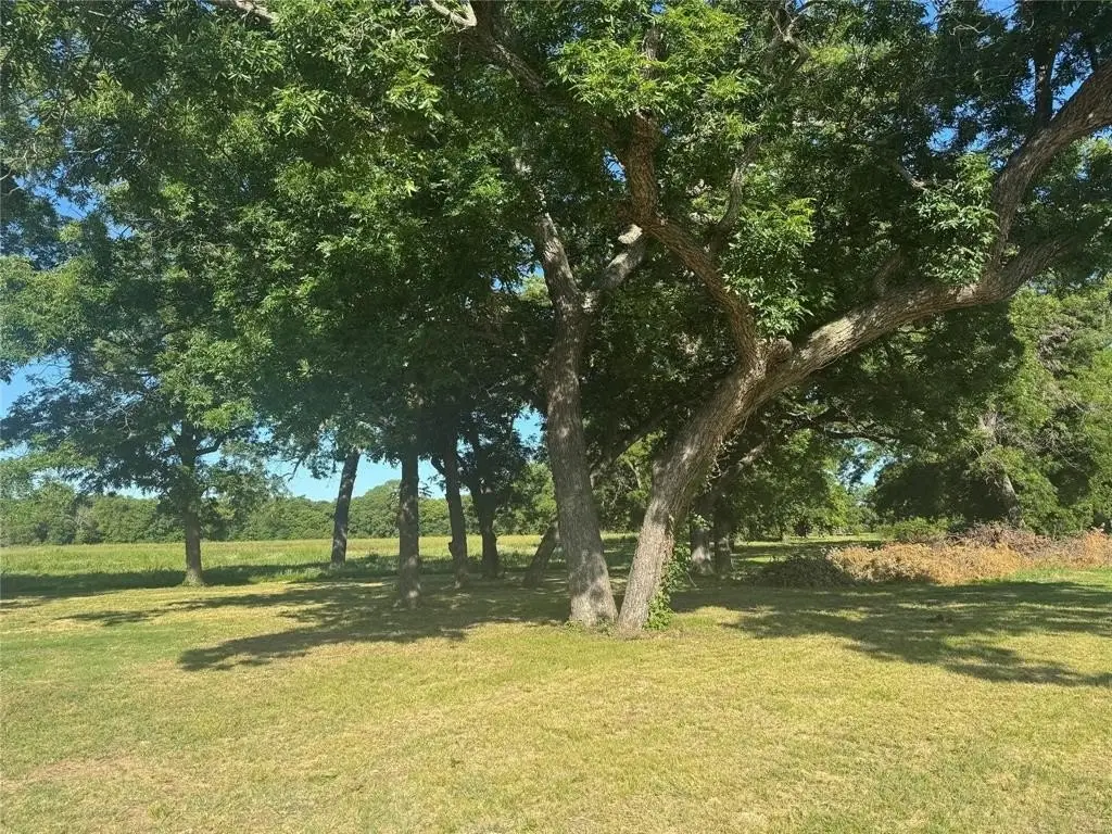 Picture 36