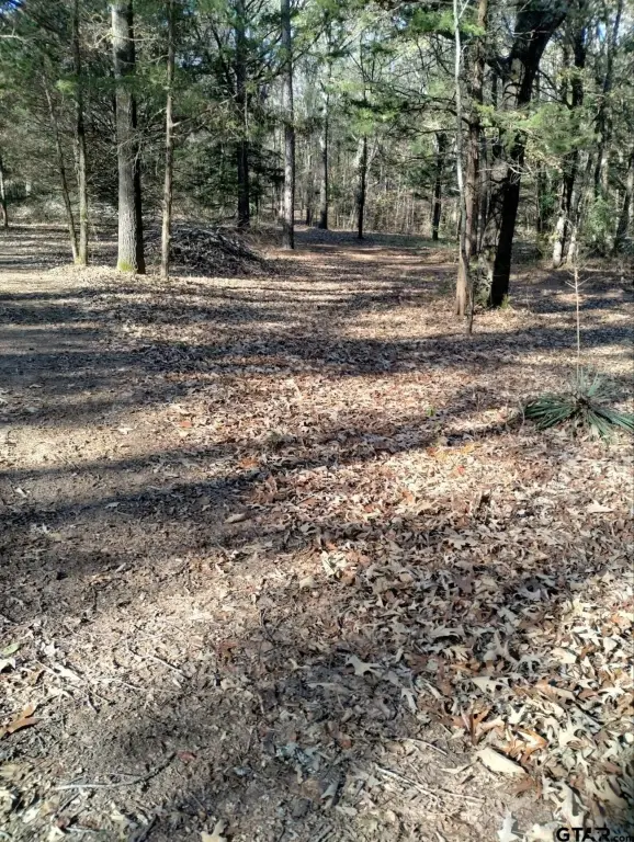 Picture 23