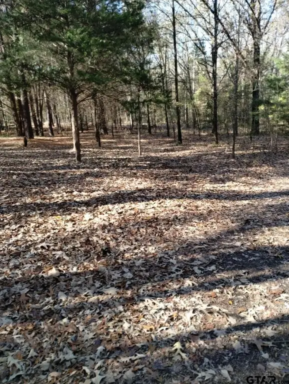 Picture 25
