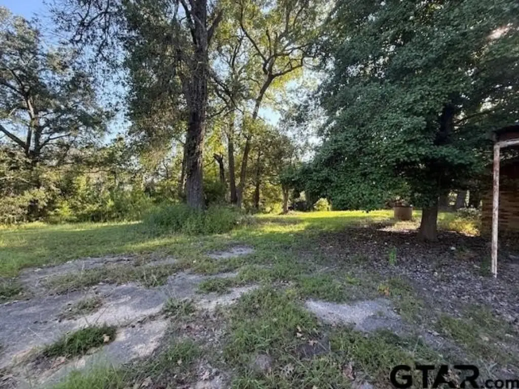 Picture 4