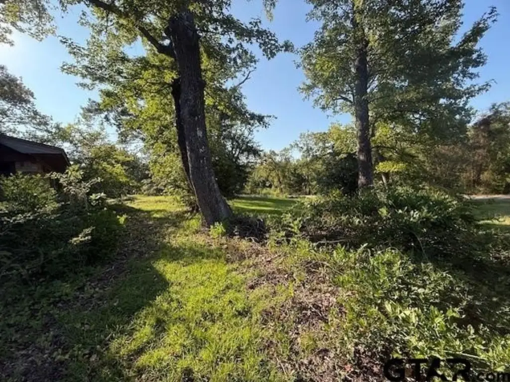 Picture 14