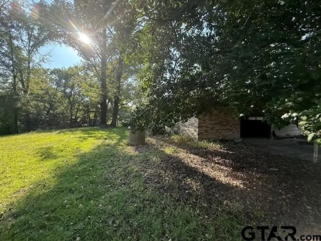 Picture 9