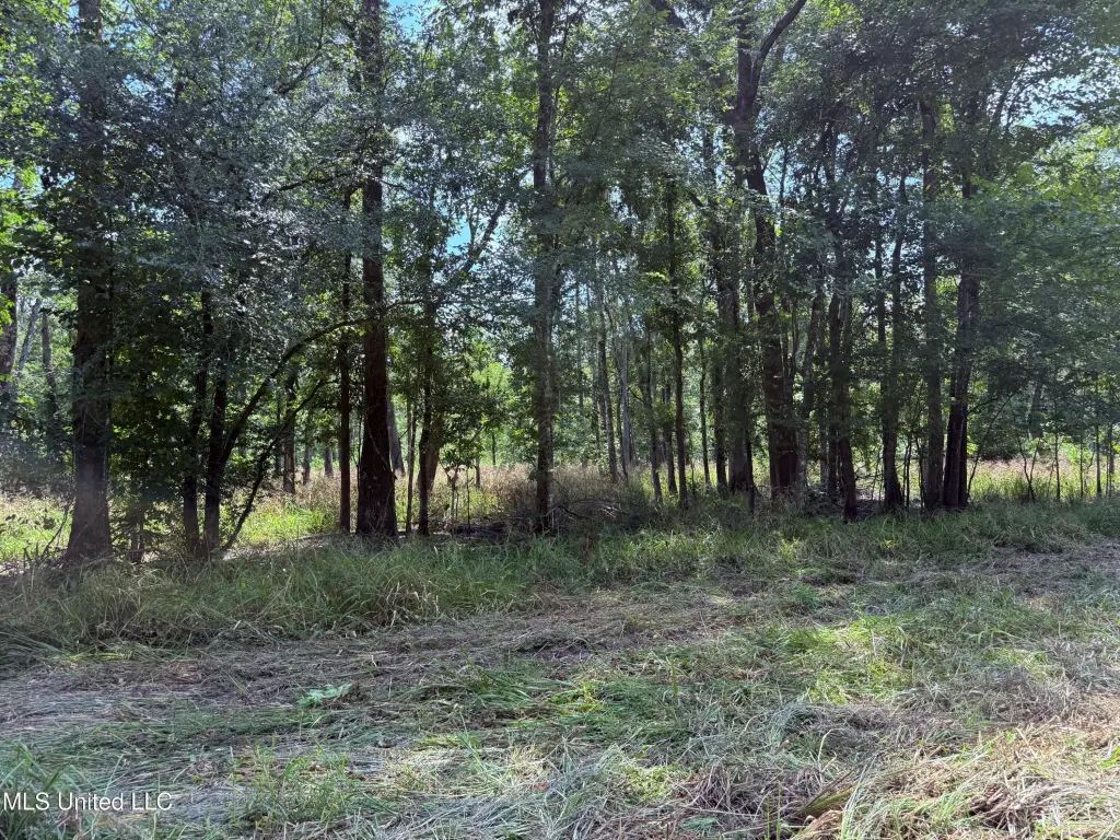 Picture 43
