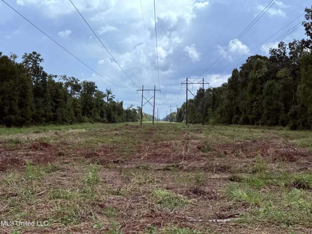 Picture 45