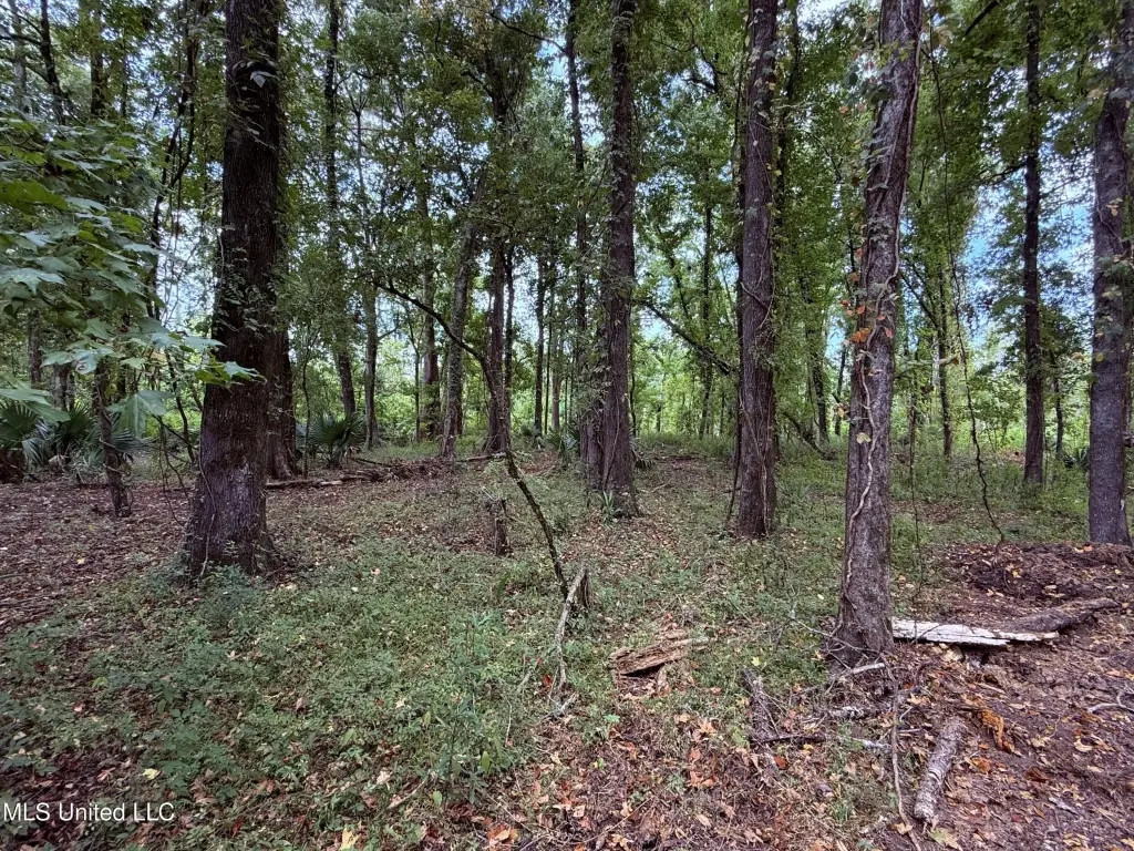 Picture 38