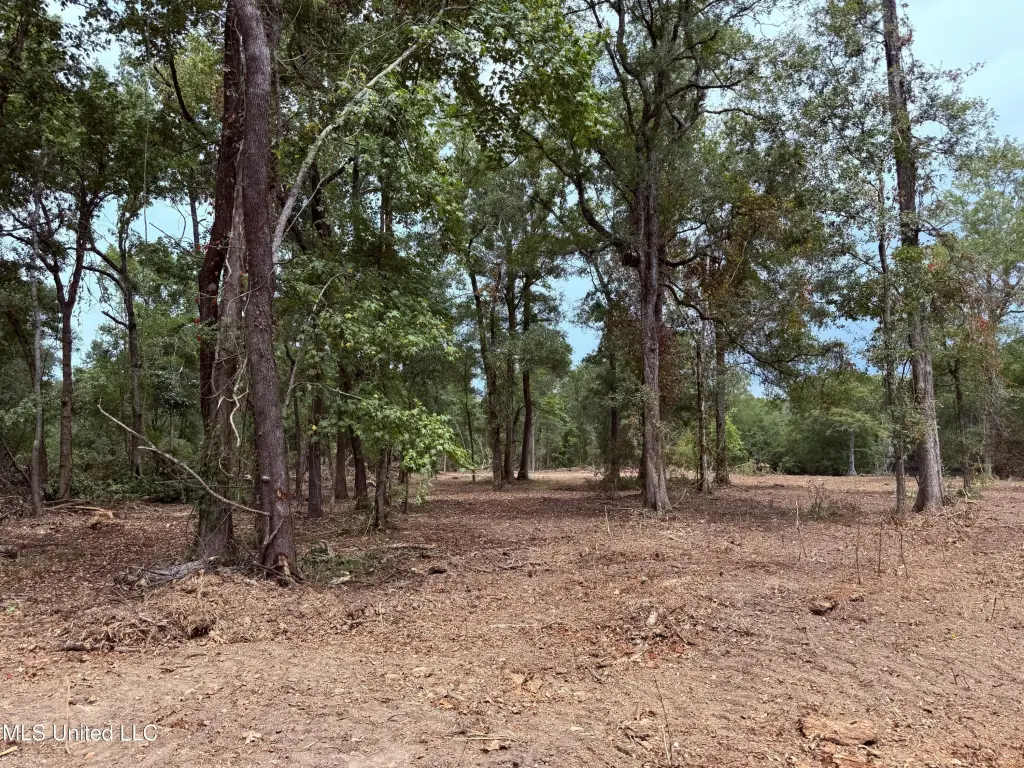 Picture 30