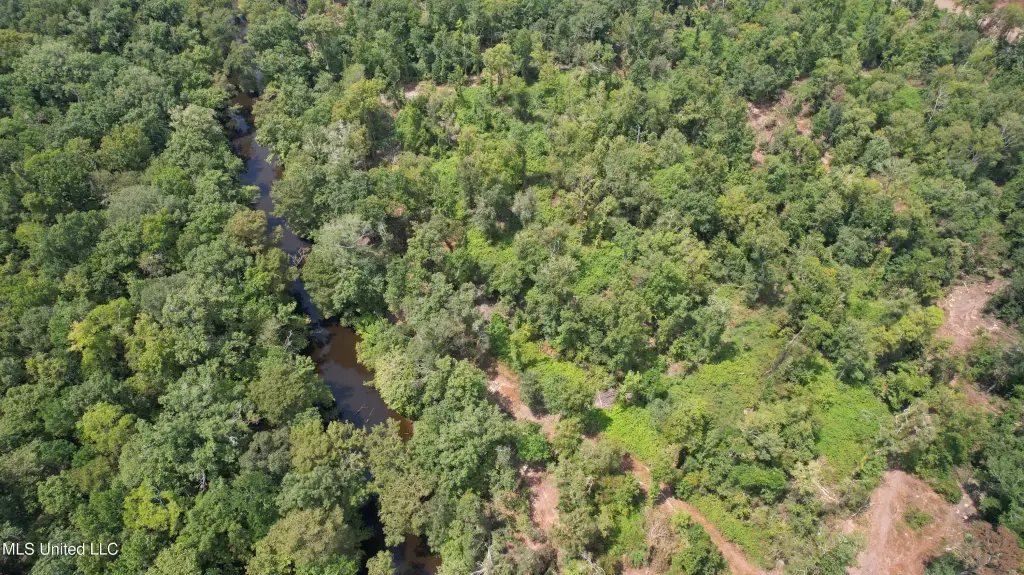Picture 76