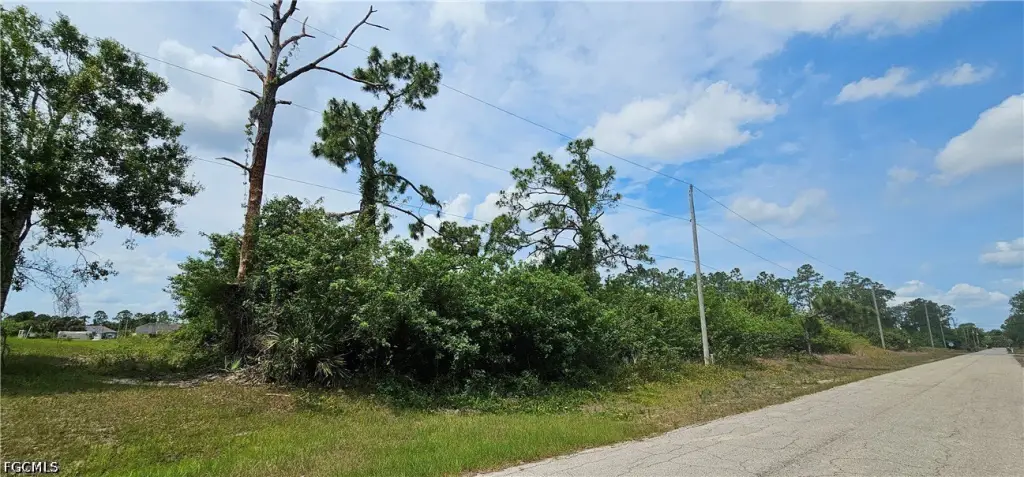 Picture 5