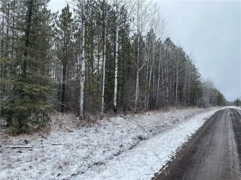 80 Acres of Forestland