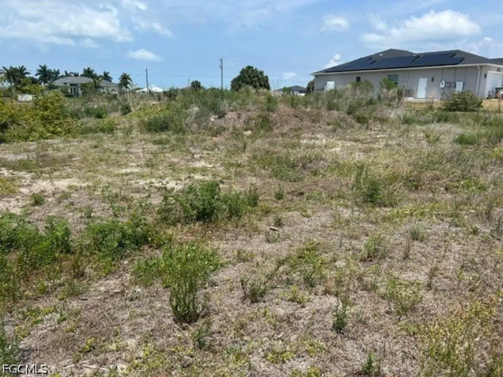 Picture 5