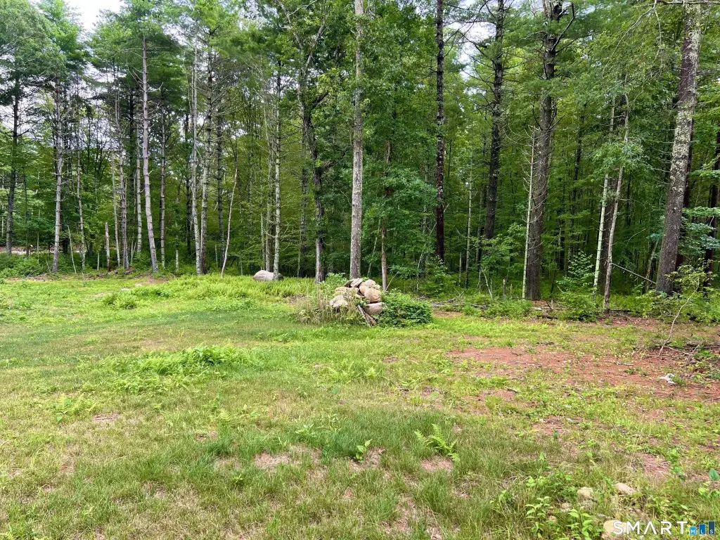 Picture 3