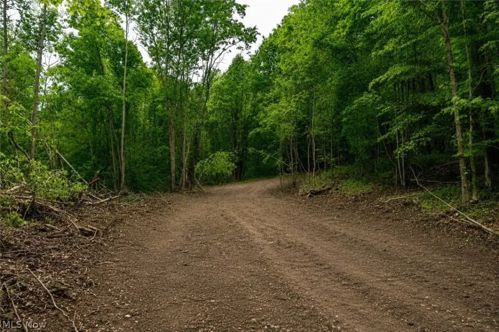 Picture 30