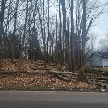 Residential Lot in Jackson, MI