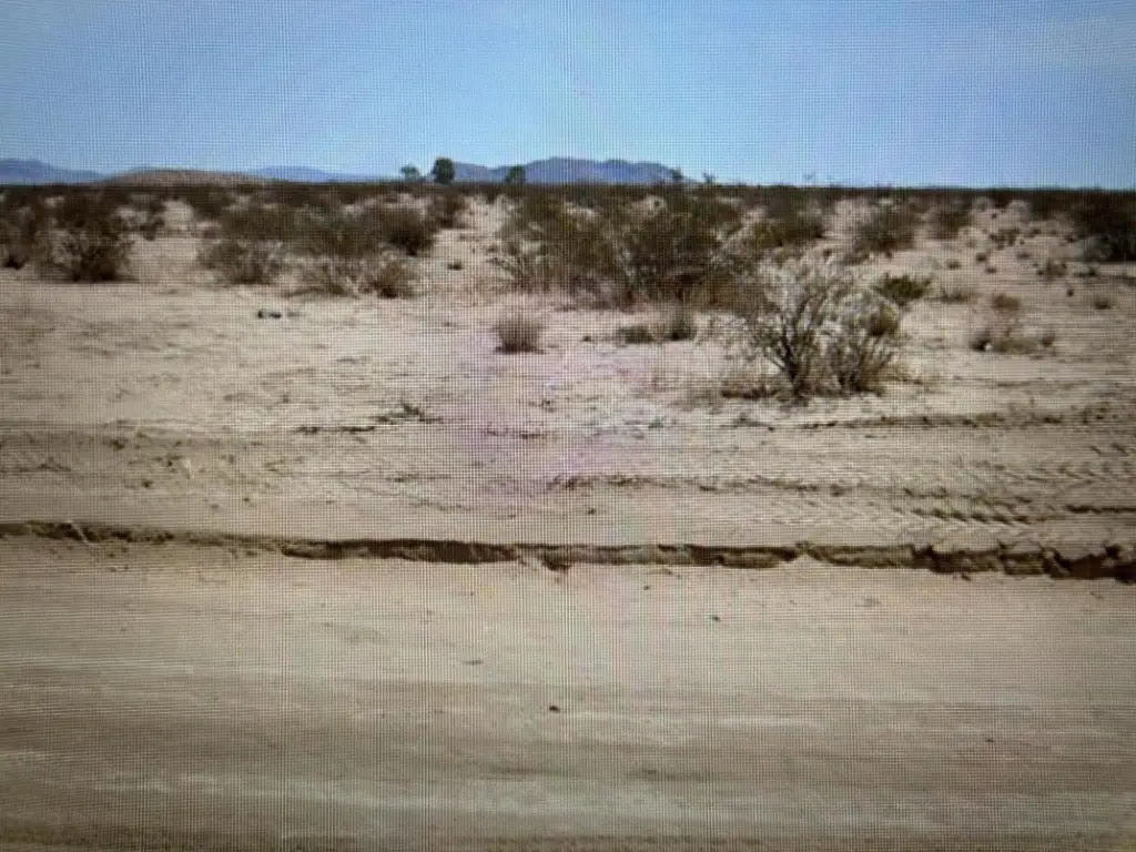Picture 3