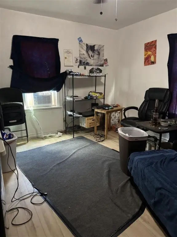 Picture 5