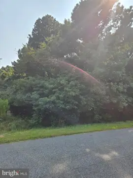 Expansive Lot in Ocean City