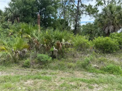 Vacant Residential Lot