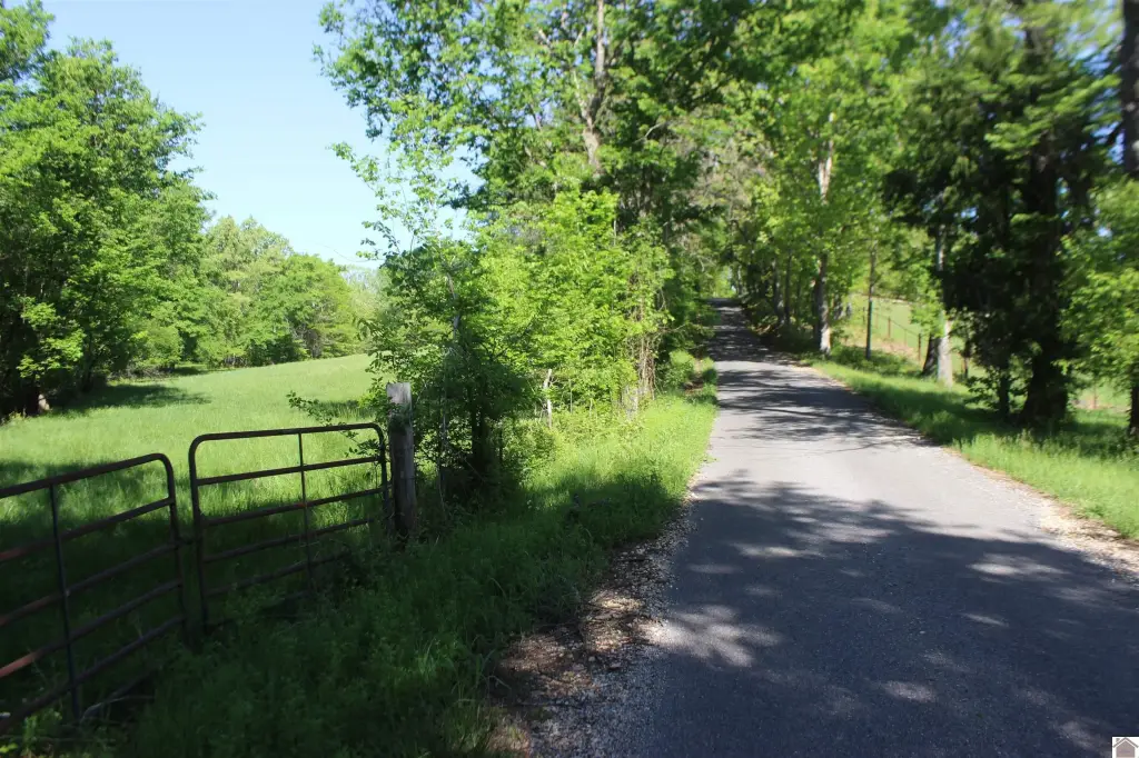 Picture 30
